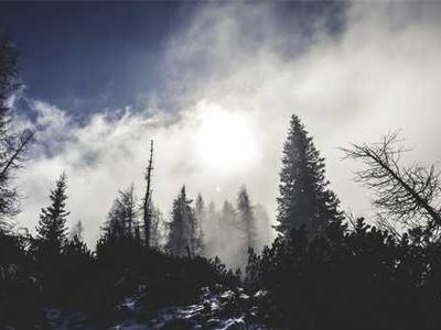 Barbie vs. Barbie: Inside the Legal Battle Over the World’s Most Famous Doll