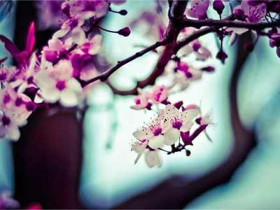 Midnight Motorbike: A Lullaby of Wonder for the Sleepless, Inspired by the Whimsy of South India