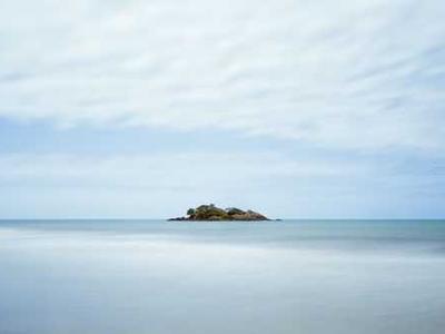 Can Bibliotherapy Heal the Pain of the World? 