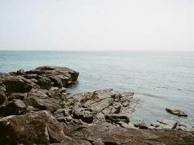 “The Matilda Effect”: How Pioneering Women Scientists Have Been Written Out of Science History