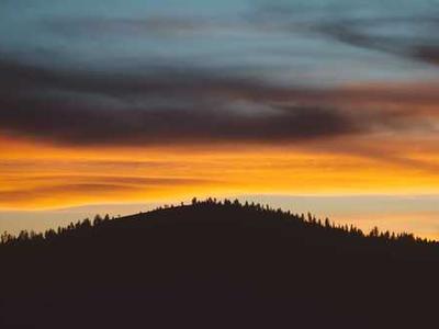 Can Bibliotherapy Heal the Pain of the World? 