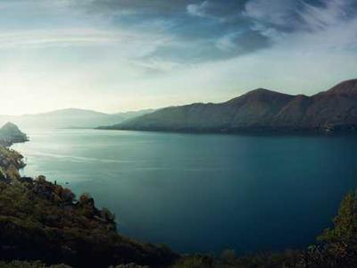 The Magic of Moss and What It Teaches Us About the Art of Attentiveness to Life at All Scales