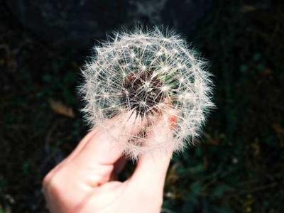 The Lighthouse Keeper: A Tender Illustrated Meditation on What Saves Us