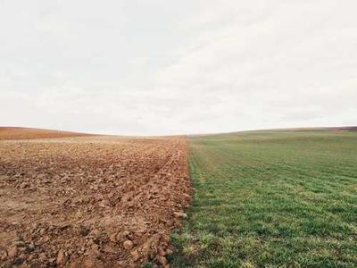 By Contacts We Are Saved: The Forgotten Visionary Jane Ellen Harrison on Change, the Meaning of Faith, and the Courage of Heresy