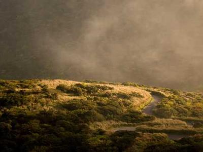 Tom Jones Performs Prince’s “Purple Rain” Accompanied by Pink Floyd’s David Gilmour (1992)