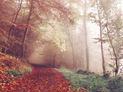 What Should You Read Next? Here Are the Best Reviewed Books of the Week