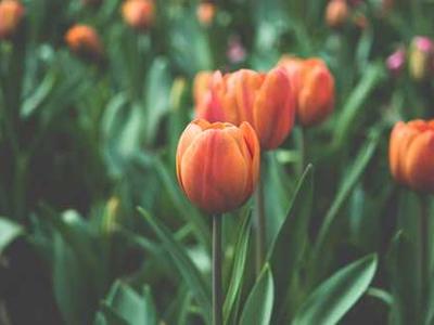 One great poem to read today: Mark Doty’s “Visitation”