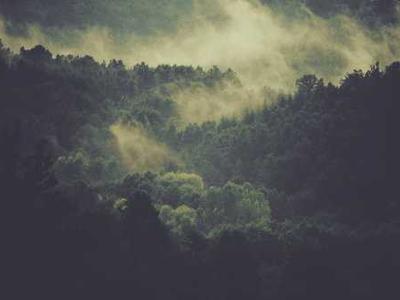 On Looking: Poet Lia Purpura on the Art of Noticing