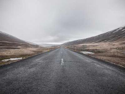 What It’s Like to Meet an Orca
