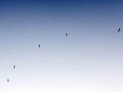 One great poem to read today: Mark Doty’s “Visitation”