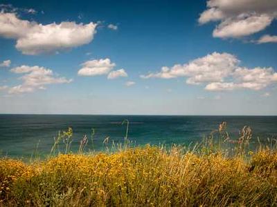 HOLD ON LET GO: Urns for Living and the Art of Trusting Time