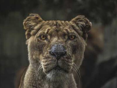 Zadie Smith, Catherine Newman, Cameron Crowe, and more: 23 new books out today!