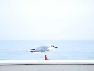 Words: Pablo Neruda’s Love Letter to Language