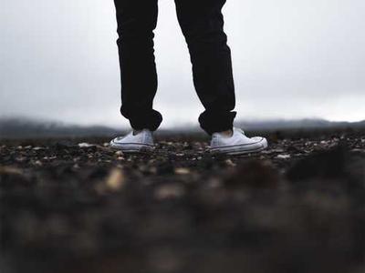 Meet These Delightful Bookshop Cats (and One Dog!)