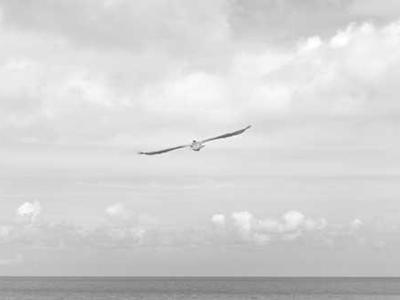 How Nature Imagined the Figment of You