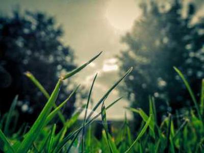 Best early Black Friday Walmart deals 2025: 20+ sales out early