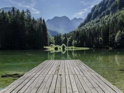 It’s Harder and Harder to Be a Magazine on the Internet—Please Help