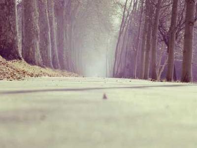 Chasing Fog: The Science and Spirituality of Nature’s Grounded Cloud