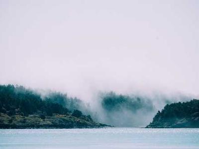 Aldo Leopold on How to Hear the Song of Life