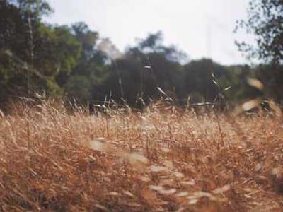 The Best Reviewed Nonfiction of 2025