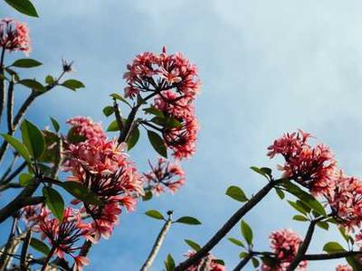 George Saunders on the Antidote to Regret