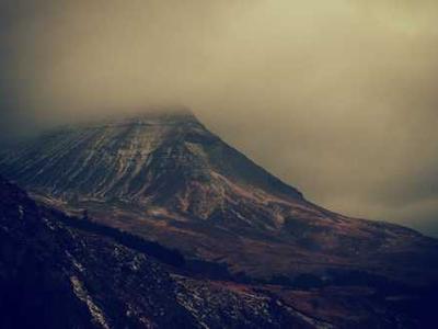 Aldo Leopold on How to Hear the Song of Life