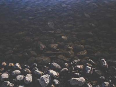 8 of the Best New Books Out in February 2026