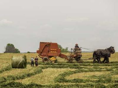 Brian Eno’s Remedy for Burnout and Despair