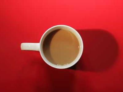 These are the books New Yorkers checked out from the library the most this year.