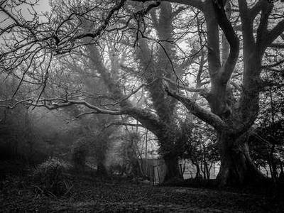 Save on refurbished iPhones at Back Market - no trade-in required