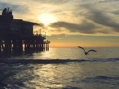 Diseases of the Will: Neuroscience Founding Father Santiago Ramón y Cajal on the Six Psychological Flaws That Keep the Gifted from Living Up to Their Gift