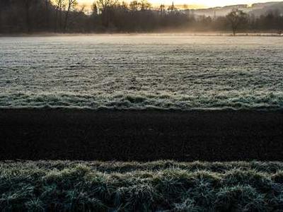 Can Bibliotherapy Heal the Pain of the World? 