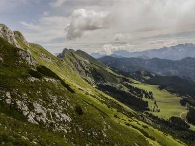 PayPal's new service is built for the AI shopping future - security included