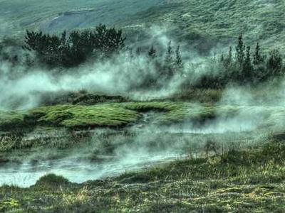Little Free Library Divinations: Searching for the Meaning of Life in Discarded Books and Found Objects