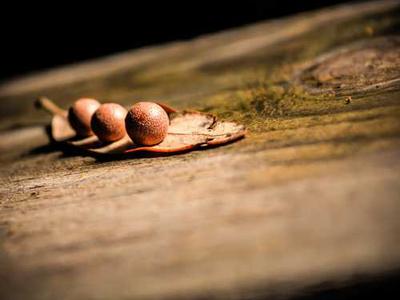 See What the Original Mona Lisa Likely Looked Like