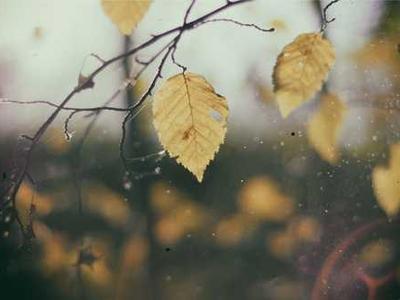 How to Bear Your Sorrows: Nick Cave on Integrating the Darkness of Loss with the Bright Ongoingness of Life