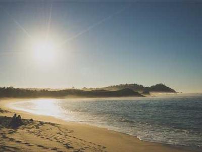 The Day Hermann Hesse Discovered the Meaning of Life in a Tree