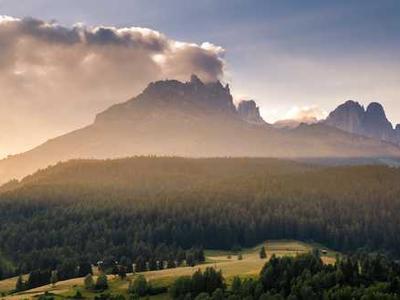 The Groundbreaking Political Legacy of Theodore Roosevelt