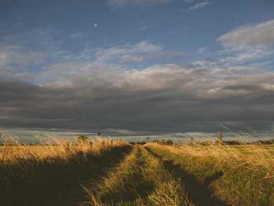 Murder, Polar Bears, and Arctic Hurricanes: The Many Twists and Turns of a 2008 Whaling Research Expedition