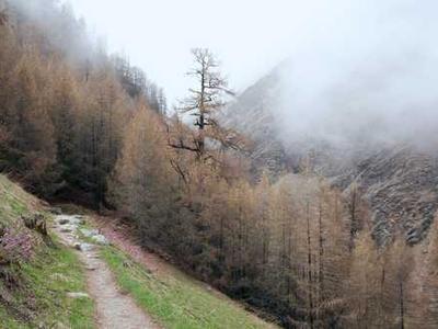 How to Be Human: Kahlil Gibran’s Recipe for Our Spiritual Perfection as a Species