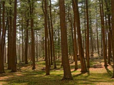 Lit Hub Weekly: April 6 – 10, 2026