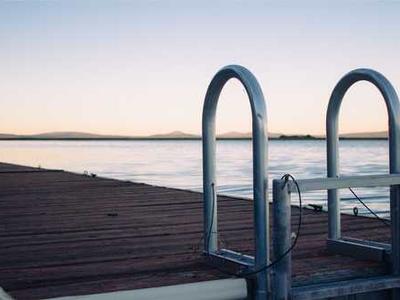 Meet These Delightful Bookshop Cats (and One Dog!)