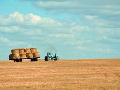 How the Incas Performed Skull Surgery More Successfully Than U.S. Civil War Doctors