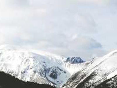 “The Matilda Effect”: How Pioneering Women Scientists Have Been Written Out of Science History