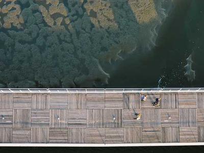 George Orwell’s Six Rules for Writing Clear and Tight Prose