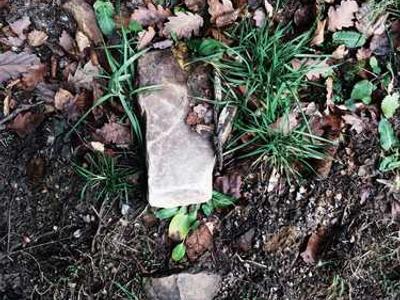 The Gnostic Gospels: An Introduction to the Forbidden Teachings of Jesus