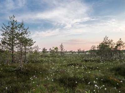 These are the books New Yorkers checked out from the library the most this year.