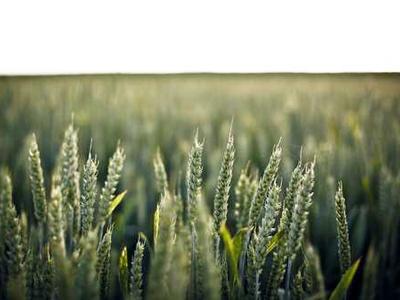 Between the User and the Used