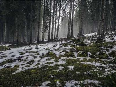 It’s Harder and Harder to Be a Magazine on the Internet—Please Help