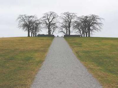 Here’s what’s been making us happy  this  week.